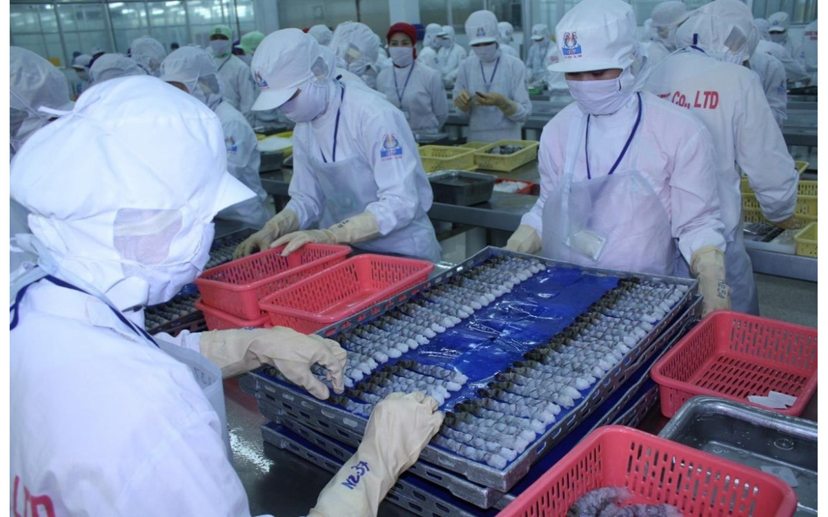 Cơ hội v&agrave;ng đẩy mạnh tăng trưởng ng&agrave;nh t&ocirc;m